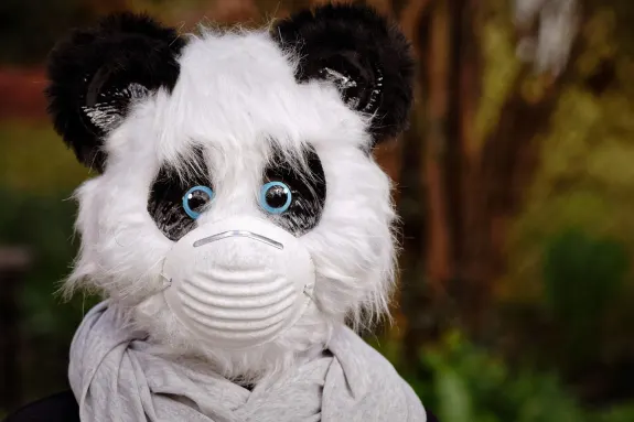 BetTilt Casino Support